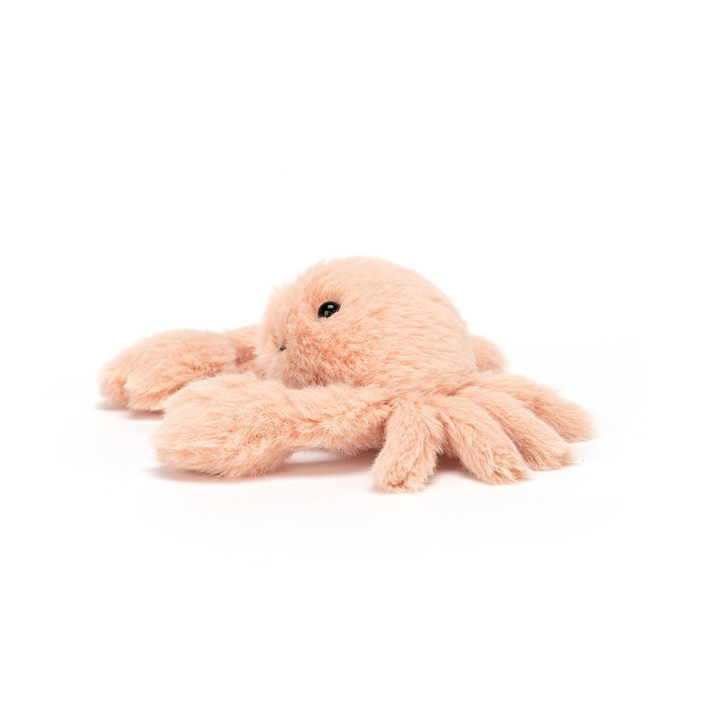 Alternative view of Fluffy Crab